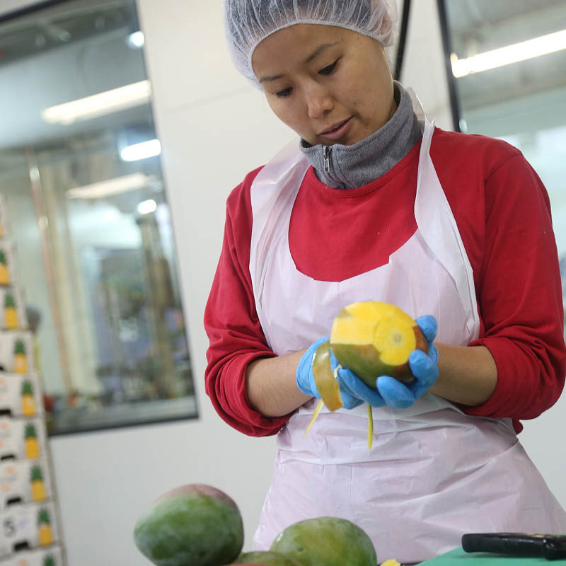 Produktion
